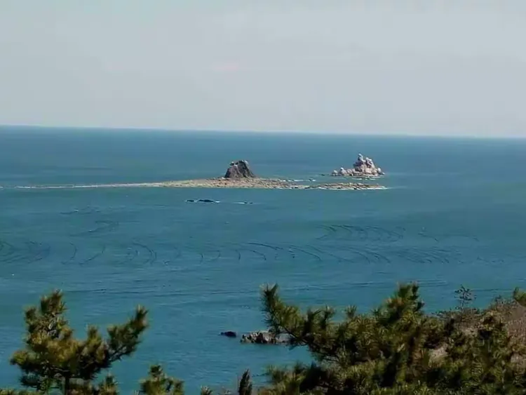 海王度假村